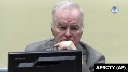 Arhiva - Ratko Mladić tokom suđenja (Foto: AP/ICTY