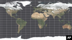 International Edition