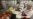 16x9 Image