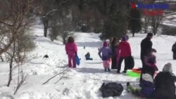 Fun With Snow: Sled Riding!