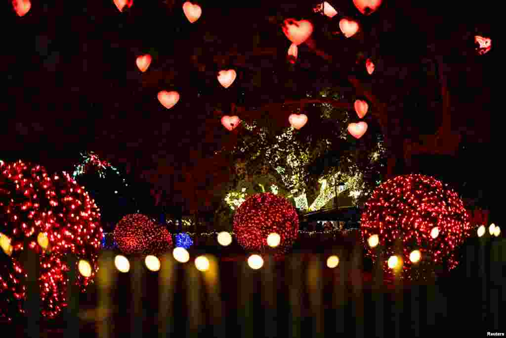 La elegante Viena, en Austria, también se llenó de colores de cara a los festejos de fin de año.