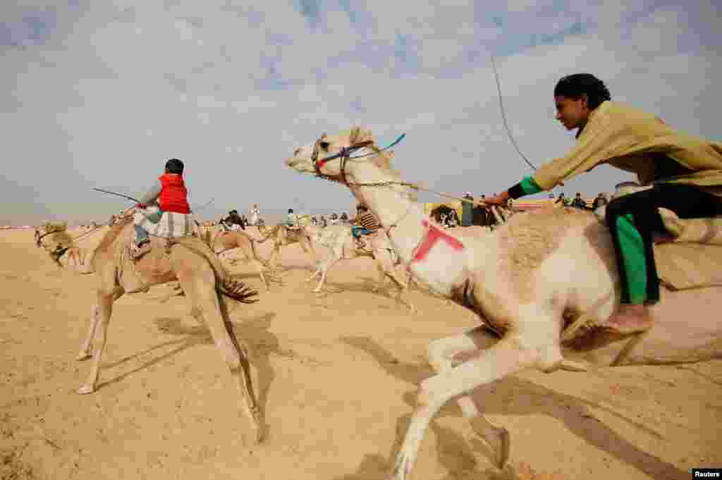 Para joki yang umumnya anak-anak, memacu unta mereka dalam lomba balap unta internasional di padang pasir Sarabium, Ismailia, Mesir.