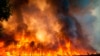 Požari u Evropi: "Klimatske promjene utiču na sve"