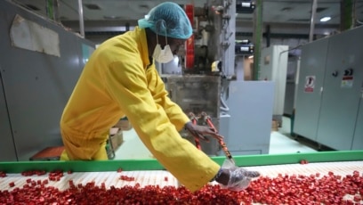 Nigeria Aims to Fight Malnutrition with Fortified Bouillon Cubes