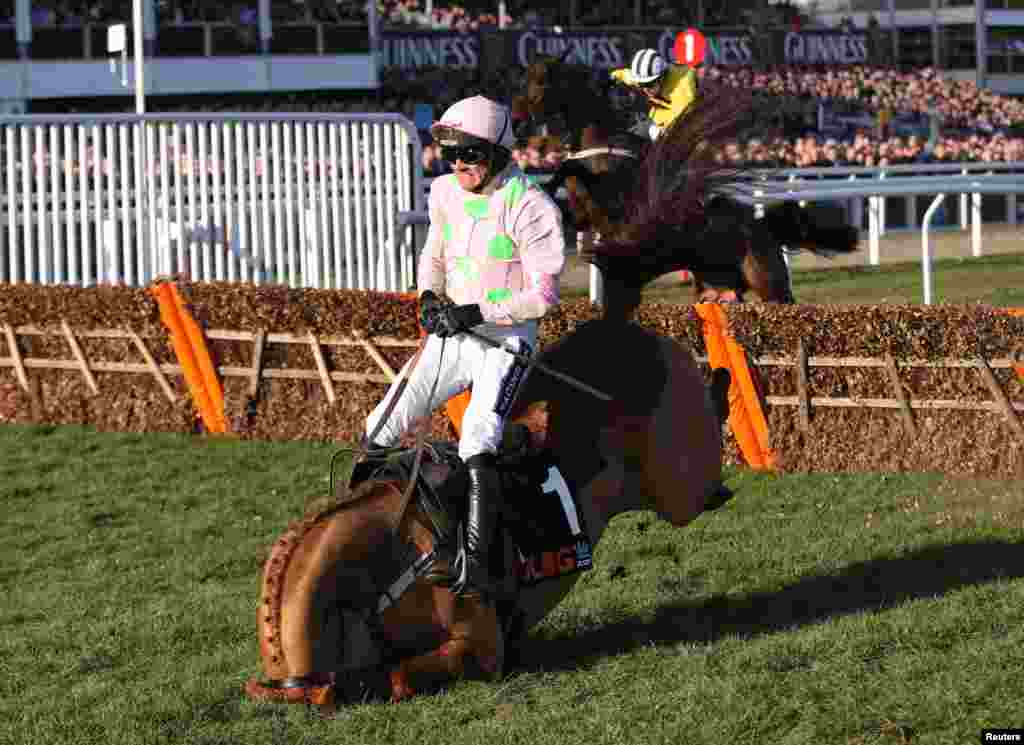 Ruby Walsh yang menunggangi Annie Power jatuh di pada rintangan terakhir dalam Mares&#39; Hurdle di Festival Cheltenham di Inggris barat, 10 Maret 2015. (Kredit: Matthew Childs Livepic)