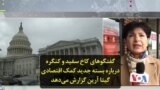 گفتگوهای کاخ سفید و کنگره درباره بسته‌ جدید کمک اقتصادی؛ گیتا آرین گزارش می‌دهد