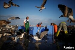 Fishermen are seen at work in the port of Matosinhos, Portugal, May 28, 2018.