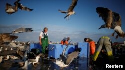 Fishermen are seen at work in the port of Matosinhos, Portugal, May 28, 2018.