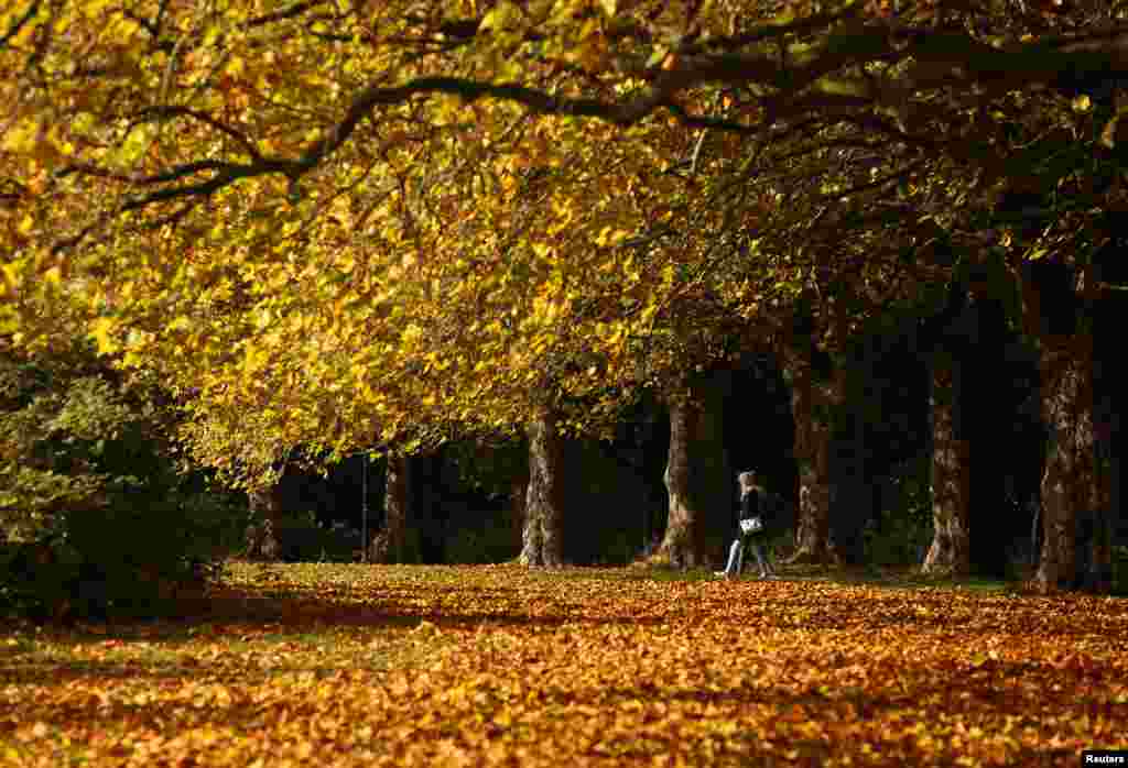 People walk through leaves in Sefton Park during an autumn day in Liverpool, England.