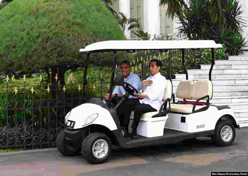 Presiden Joko Widodo Mengemudikan Golf Cart untuk Mengantar Mantan Presiden AS Barack Obama ke Grand Garden (Photo Courtessy: Biro Setpres RI)