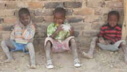 Udaba Esilethulwe NguMavis Gama