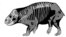 A rendering of a Lisowicia bojani, Nov. 21, 2018.