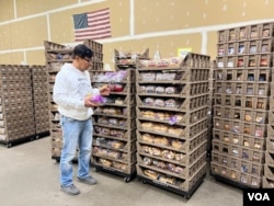 Geliga Purnama, distributor roti dan kukis di negara bagian Virginia dan Maryland (dok: VOA)