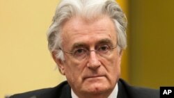 Former Bosnian Serb leader Radovan Karadzic at the courtroom of the U.N. Yugoslav war crimes tribunal. (File)