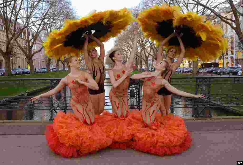 Members of a dance ensemble "Momix Botanica" pose in Duesseldorf, Germany.