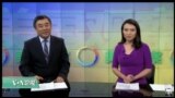 VOA卫视 (2017年2月3日 美国观察)