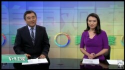 VOA卫视 (2017年2月3日 美国观察)