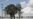 La Niña inunda a Australia