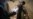 16x9 Image