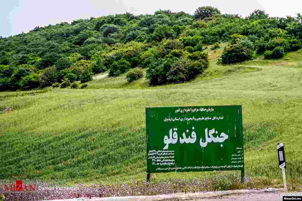 جنگل فندقلو در جنوب شهر نمین عکس:دامون پورنعمتی