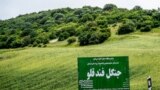 <div>جنگل فندقلو در جنوب شهر نمین<br />
عکس:دامون پورنعمتی</div>
