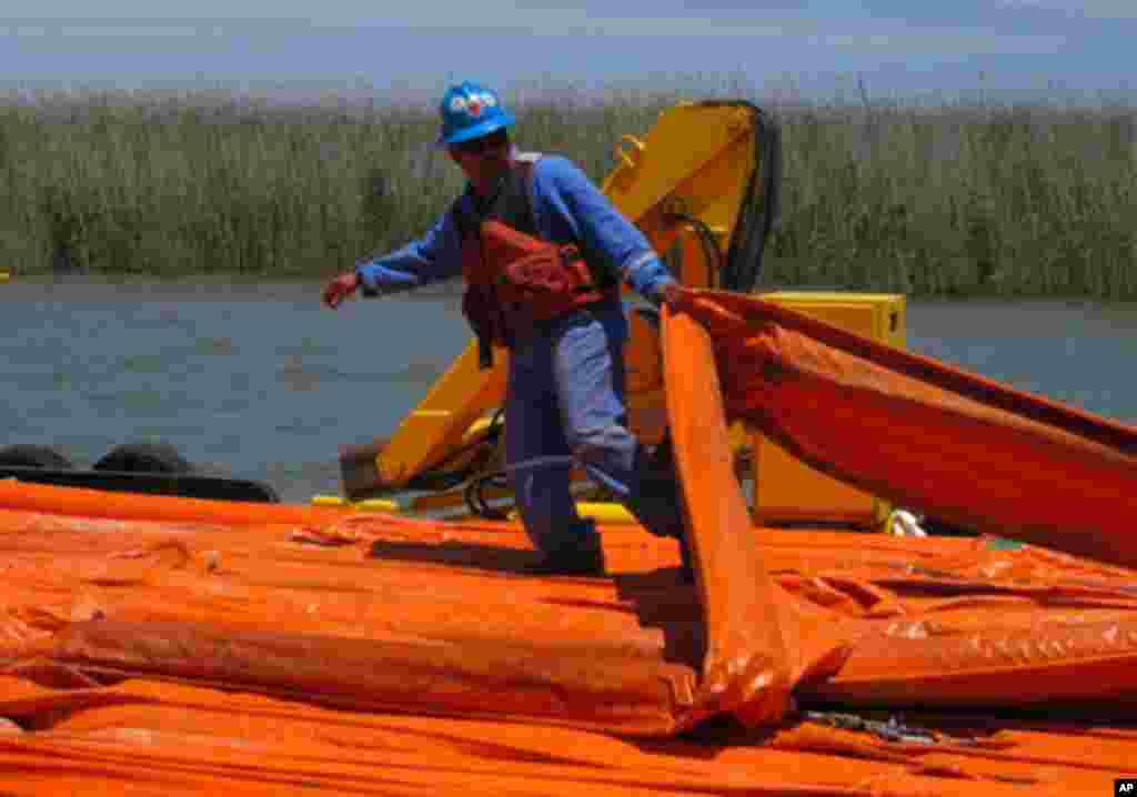 A clean-up worker laying booms beside a fragile wetlands near the town of Venice that is in the path of the oil spill that is creeping towards the coast of Louisiana, 29 Apr 2010. (AFP Image)