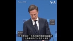 北约秘书长：盟国应平等分担乌克兰安全援助