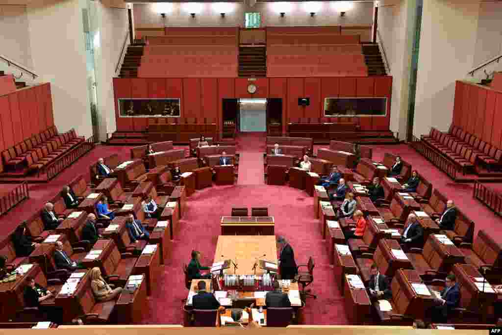 آسٹریلیا کے پارلیمان میں تمام سینیٹرز ایک دوسرے سے فاصلہ قائم رکھے ہوئے ہیں۔