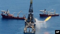 英国石油巨头BP公司去年在墨西哥湾发生漏油事故(2010年6月25号资料照)