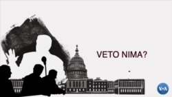 Veto nimani anglatadi?