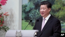 中国国家主席习近平(2015年11月6日)
