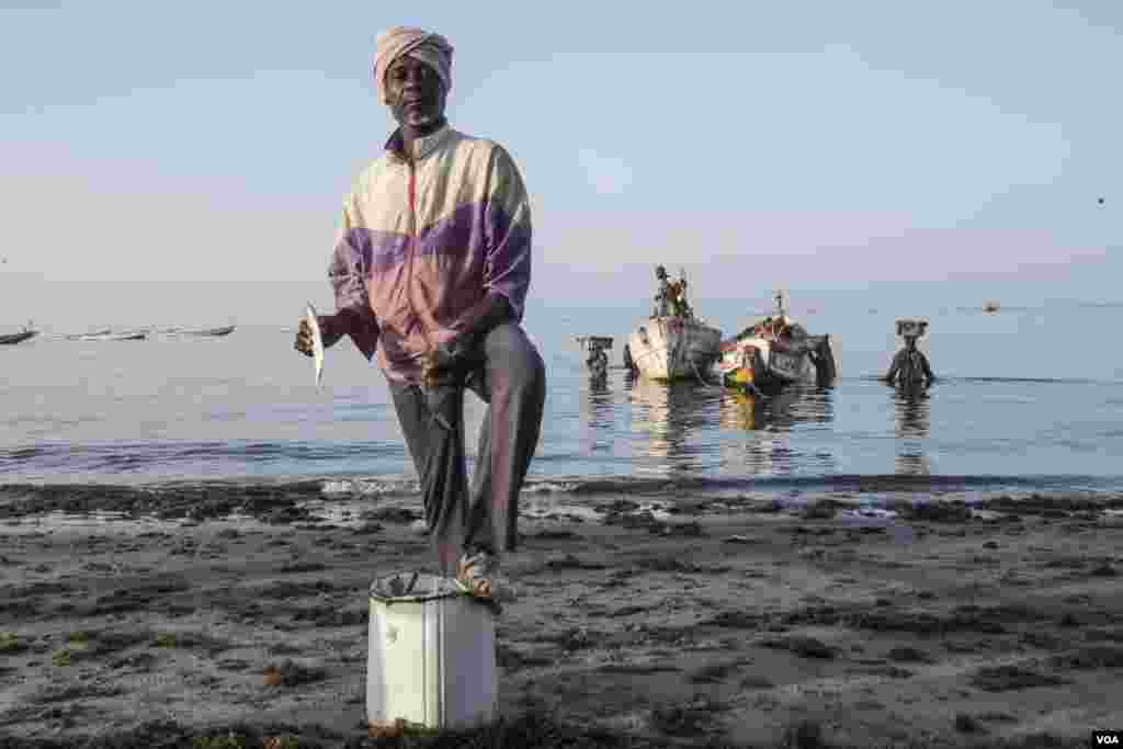 Abdou Rakhmane Sidibe is a &ldquo;lag-lagal,&rdquo; the term used for the men and women who buy fish directly from the boat and then turn around and sell those fish to market vendors, individuals who just want to cook dinner, or other fishermen, who then use them as bait. Joal, Senegal, May 30, 2017. (R. Shryock/VOA)