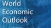 International Monetary Fund Raises Growth Forecast 