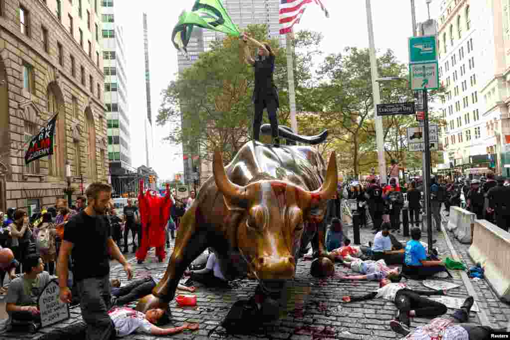 امریکہ کے شہر نیو یارک میں مظاہرین نے بیل کے مجسمے اور اپنے کپڑوں کو جعلی خون سے رنگ دیا اور پھر سڑکوں پر لیٹ کر انوکھا مظاہرہ کیا 