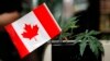 Canada to Legalize Marijuana October 17