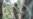 DR Congo wants UN peacekeepers gone, but war around minerals complicates that