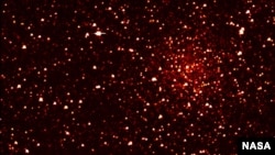 Cluster of stars in Kepler's sight. (NASA)