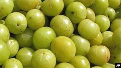 gooseberry fruit in hindi