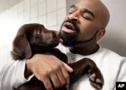 Inmate Jonathan Ladson cuddles with a chocolate lab puppy at Merrimack County Jail in Boscawen, N.H., Jan. 8, 2019.