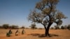 Des filles transportent de l'eau sur leurs vélos vers le village de Nedogo, près de Ouagadougou, au Burkina Faso, le 16 février 2018.