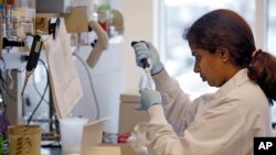 FILE - Research technician Ashwini Balakrishnan works in the immunotherapy research lab of Dr. Stanley Riddell at the Fred Hutchinson Cancer Research Center in Seattle, March 28, 2017.