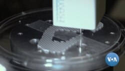 3D Organ Printing -- WEB