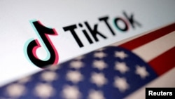TikTok y ByteDance argumentan que una nueva ley que podría prohibir el servicio en EEUU viola la Primera Enmienda y debe ser anulada.