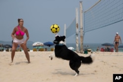 The border collie named Floki and athlete Natalia Guitler play footvolley, a combination of soccer and volleyball, on Leblon beach in Rio de Janeiro, Sunday, Sept. 8, 2024. (AP Photo/Bruna Prado)