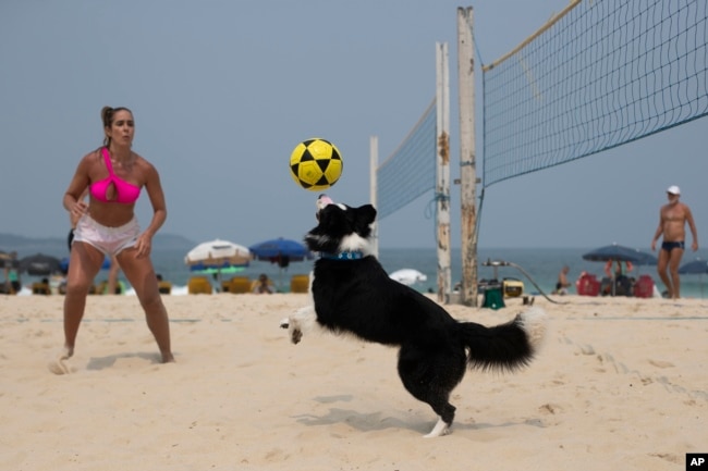 The border collie named Floki and athlete Natalia Guitler play footvolley, a combination of soccer and volleyball, on Leblon beach in Rio de Janeiro, Sunday, Sept. 8, 2024. (AP Photo/Bruna Prado)