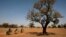 Des filles transportent de l'eau sur leurs vélos vers le village de Nedogo, près de Ouagadougou, au Burkina Faso, le 16 février 2018.