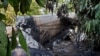 Plane Stolen in Mexico Crashes and Burns in Guatemala with Drugs on Board