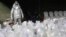 A worker in a special heat reflecting suit stands next to bags of seized cocaine, to be destroyed by fire at a police base in Lima, Peru, Oct. 11, 2016. The battle on drugs recently has moved to the docks where over 90 workers have been killed in crimes tied to smuggling.