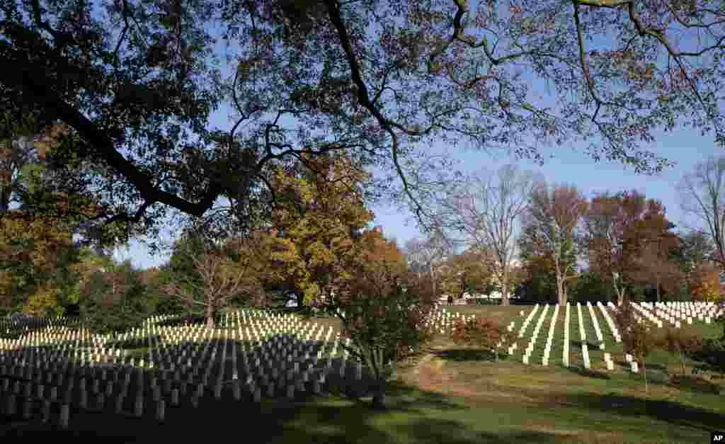 Sinar matahari pagi menyinari Taman Makam Nasional Arlington di Arlington, Virginia (11/11). (AP)