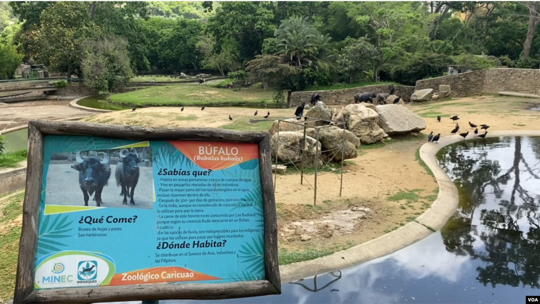 Zoológico de Caricuao, Caracas
